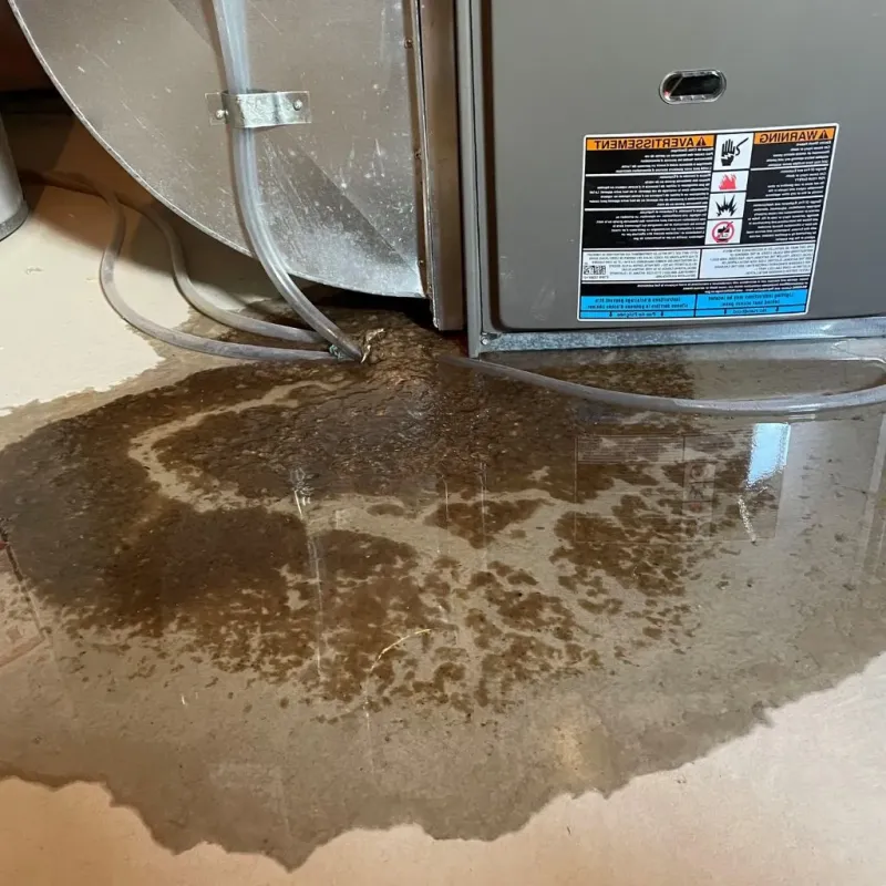 Pipe Burst and Leak Restoration in Grosse Pointe Farms, MI